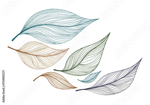 Delicate Line Art Leaves Illustration.