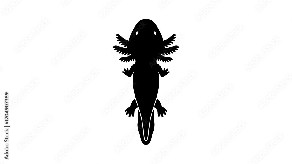 Obraz premium Axolotl silhouette with transparent background