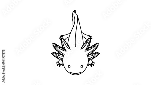 Axolotl outline with transparent background