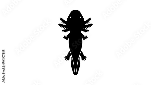 Axolotl silhouette with transparent background