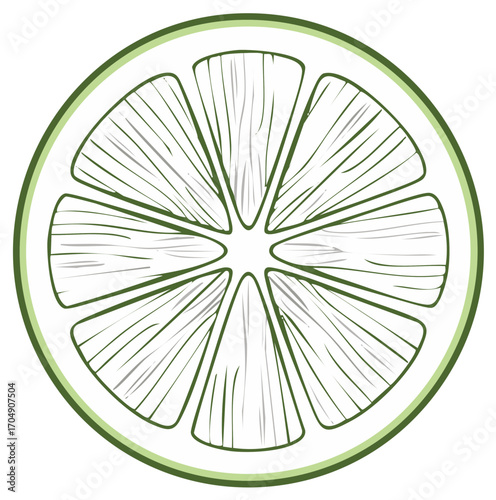 Lime slice illustration, cross section, green and white, healthy food concept