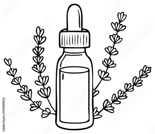 Line art illustration of a lavender essential oil bottle with botanical sprigs
