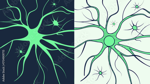 Neuron cell biology illustration for medical science education and brain research background concept