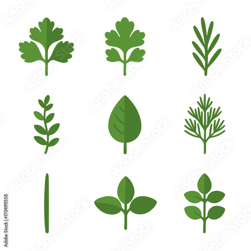 Herbs Icon Grid. Flat icon set of herbs: parsley sprig, cilantro, rosemary twig, thyme branch, mint leaf, dill