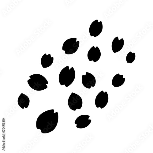 Black seed pod cluster with transparent background