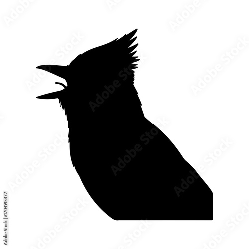 Blue jay silhouette with transparent background