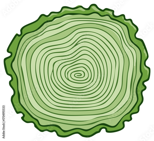 Stylized Cross Section of a Tree Trunk with Concentric Growth Rings Illustration