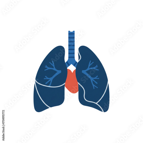 A minimalist flat vector illustration representing the human respiratory system, with blue lungs and a red heart symbolizing life and health
