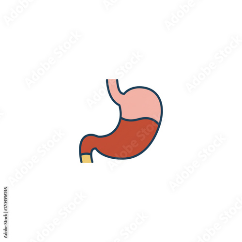 Flat design vector icon of the human stomach. Medical symbol for digestion, gastroenterology, and internal organ anatomy, isolated on a white background