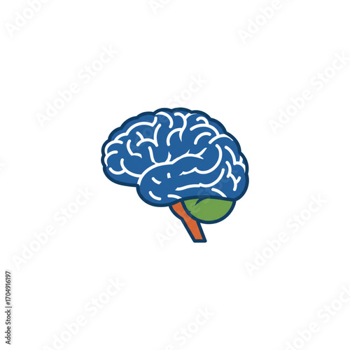 Colorful anatomical illustration of the human brain. A simple icon for neuroscience, psychology, or mental health awareness concepts