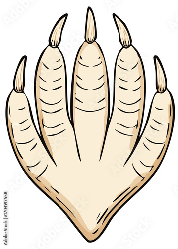 Illustration of a creature's foot with five sharp claws and segmented toes