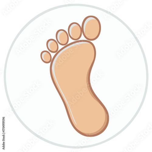 Illustration of a human foot inside a circular frame, anatomy concept