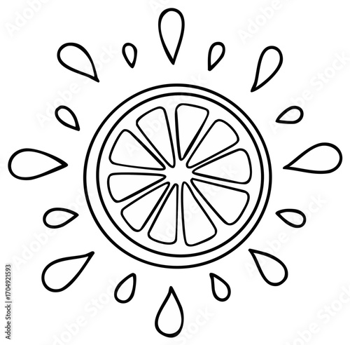 Outline of Citrus Fruit Slice with Splashes, Black and White Line Art