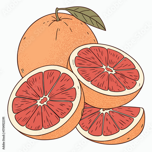 Vector art of a whole grapefruit and two halves, with a leaf and stem, isolated on a