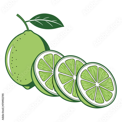 Vector art of a whole green lime with a leaf and stem, next to three sliced lime rounds