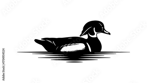 Duck swimming on water with transparent background