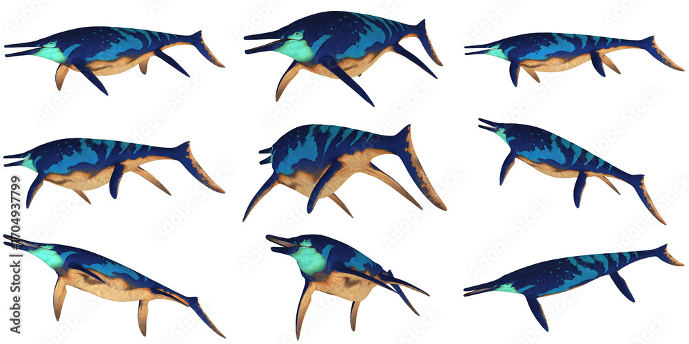 Fototapeta premium Colorful ichthyosaur models displayed in various poses.