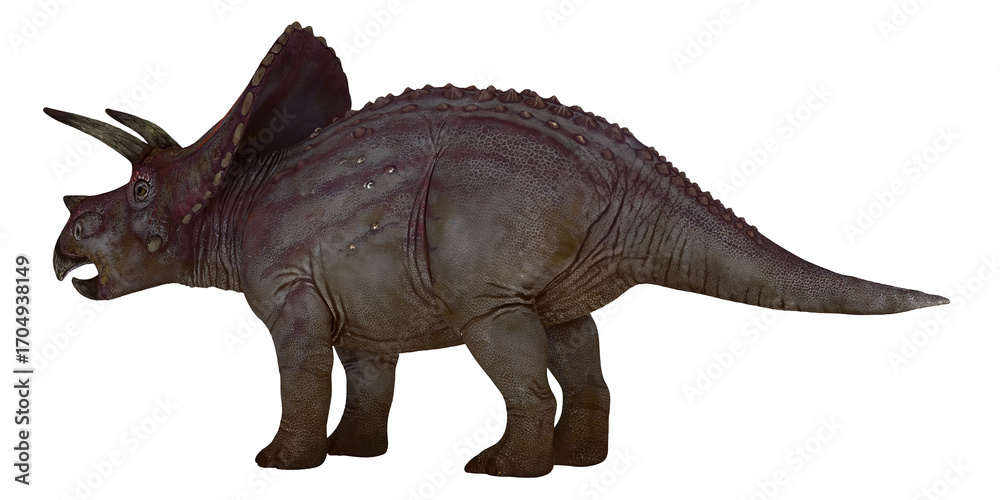 Naklejka premium Realistic depiction of a Triceratops dinosaur