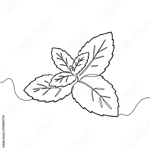 A minimalist continuous single line drawing of a fresh mint sprig with leaves, isolated on a white background.
