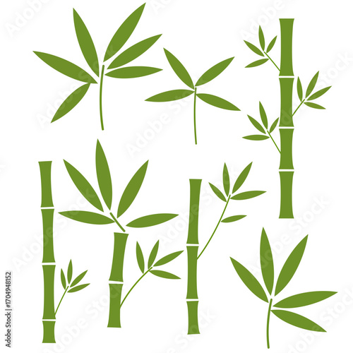 Collection of Bamboo Silhouettes Green Bamboo Leaves and Stems Vector Illustration