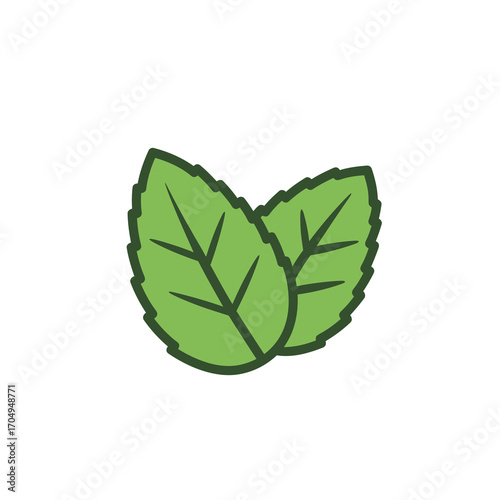 Fresh Mint Leaves Icon Green Nature Herbal Vector Illustration