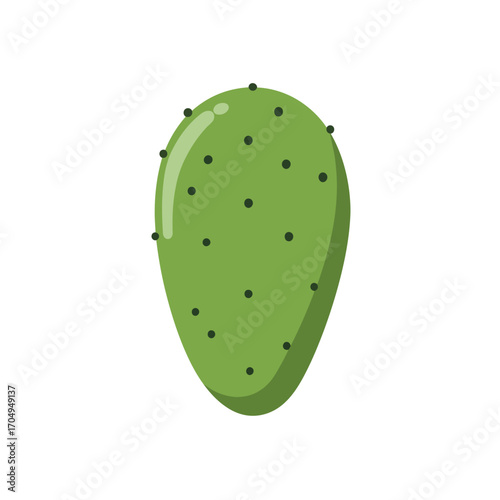 Fresh Green Cactus Fruit Illustration Prickly Pear Icon Graphic