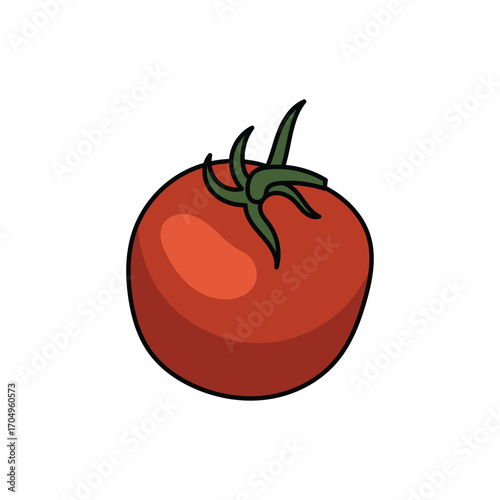 tomato illustration