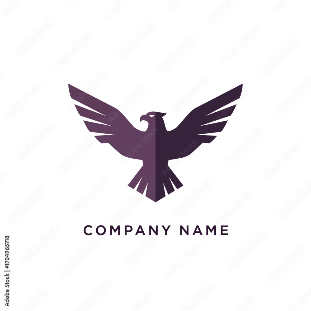 Obraz premium Modern geometric eagle logo with spread wings symbol.