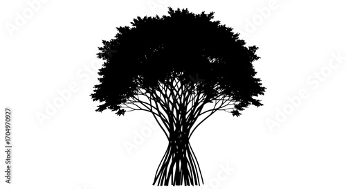 Silhouette of a Deciduous Tree with Dense Foliage and Intertwined Branches for Ecological Studies and Nature-Themed Design Projects
