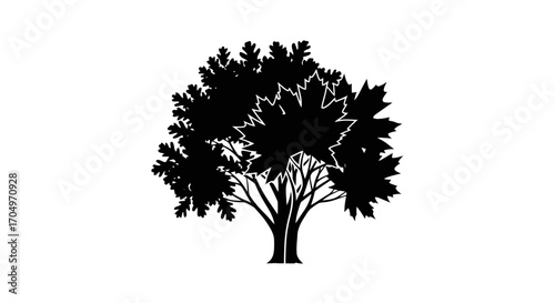 Silhouette of a Maple Tree on a White Background, Ideal for Environmental Designs and Nature-Themed Projects that need a simple and clean graphic element