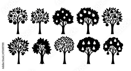 Diverse collection of fruit tree silhouettes, perfect for illustrating orchards, botanical studies, agricultural themes, and nature-inspired designs for educational resources