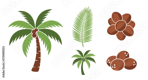 Illustrative depiction of palm trees leaves and coconuts in a tropical setting.