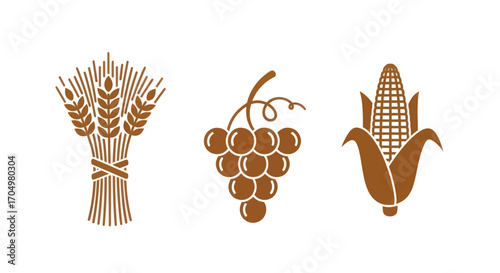 Set of agricultural icons featuring wheat grapes and corn.