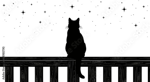 Black Cat on a Fence at Night.