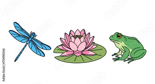 Pond Ecosystem Illustration with Dragonfly Frog and Water Lily.