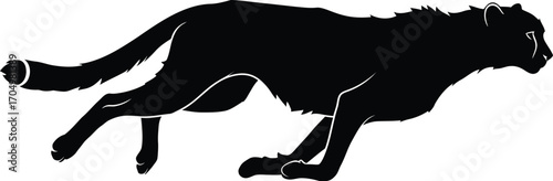 Silhouette of a Cheetah Running Fast Wild Animal	