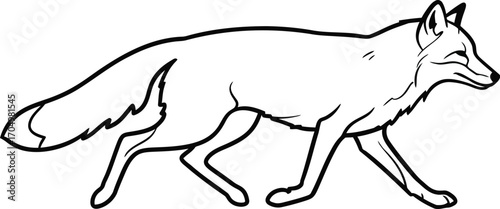 A Drawing of a Fox Walking Towards the Right Side	