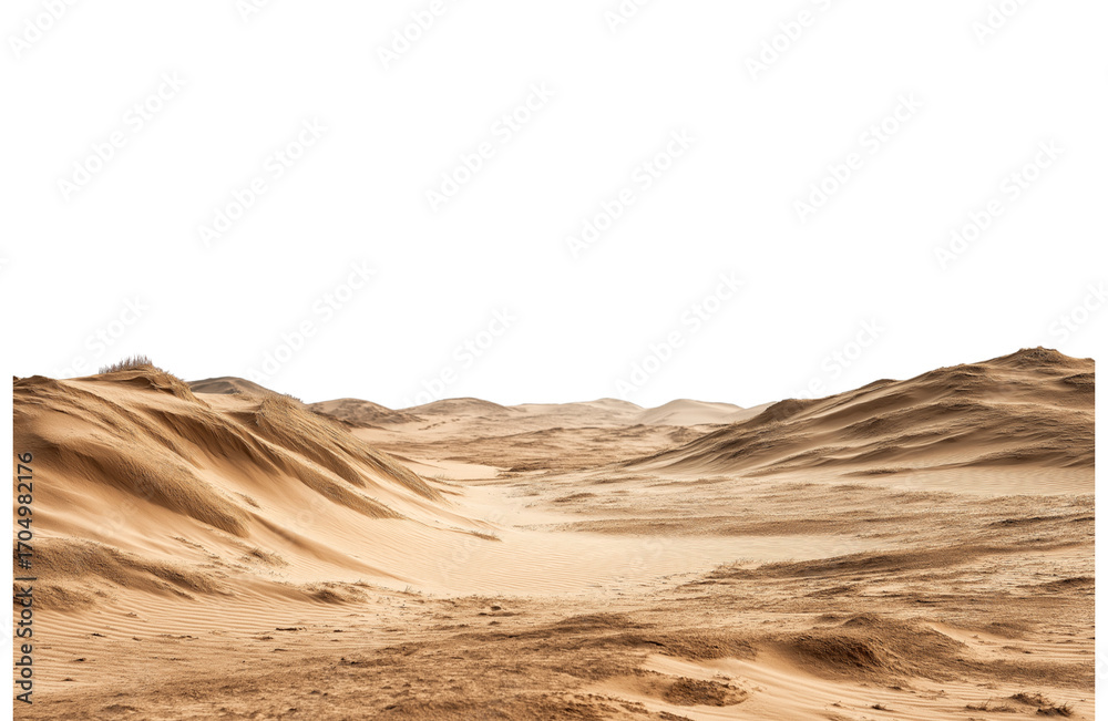 Fototapeta premium Expansive desert terrain with rolling sand dunes under a clear sky isolated on transparent background