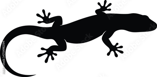 Silhouette of a small lizard clinging to a flat surface in the dark	
