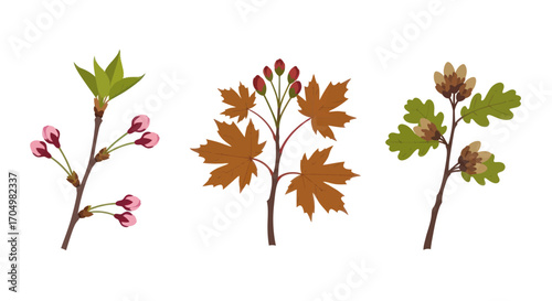 Three distinct botanical branches showcasing seasonal plant elements.