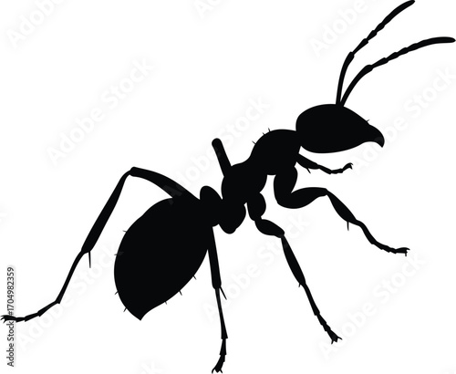 Silhouette of a Tiny Insect Illustrating a Solitary Ant Worker in Black	