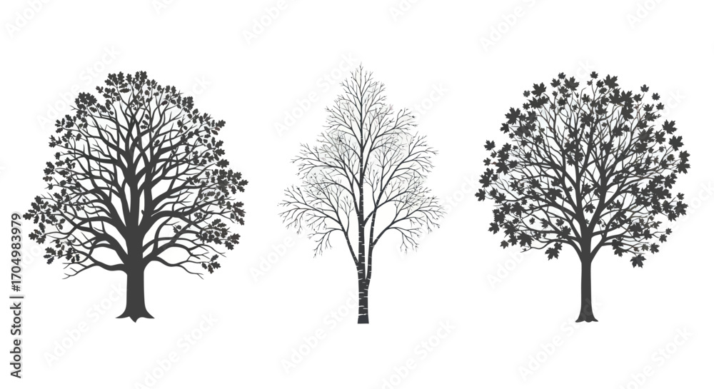 Fototapeta premium Three Tree Silhouettes in Black and White.