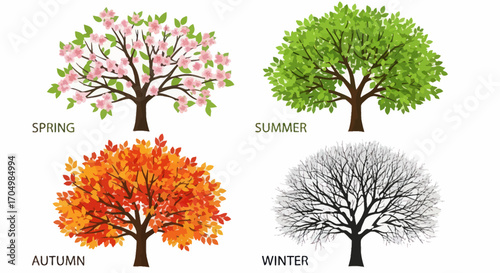 Illustration of a Tree Through The Four Seasons.