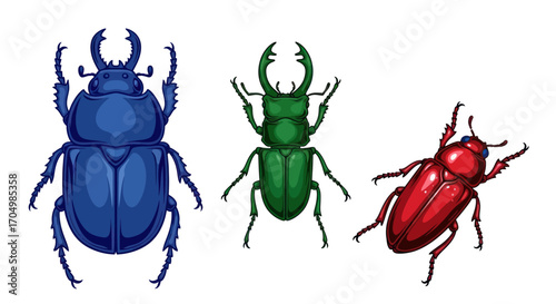 Three colorful beetles isolated on a white background.