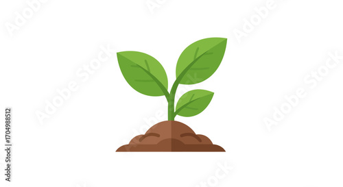 Small Plant Growing in Soil: Symbol of Growth and New Beginnings.