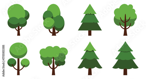 a variety of trees including pine and deciduous types