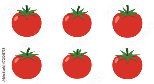 six ripe tomatoes arranged neatly in two rows