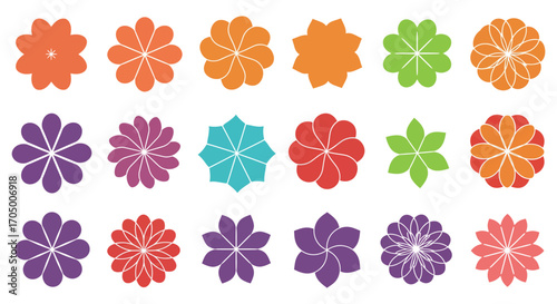 colorful flowers arranged neatly in rows and columns