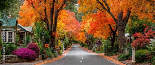 Autumnal street lined with vibrant fall foliage and charming houses