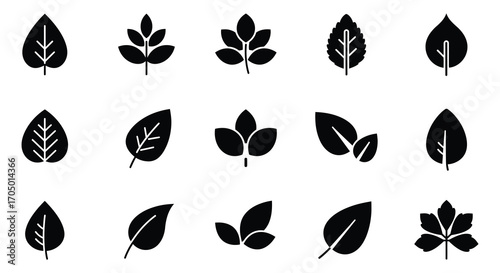 various leaf shapes displayed in neat rows and columns